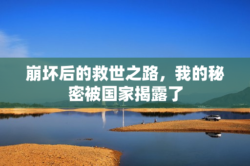 崩坏后的救世之路，我的秘密被国家揭露了