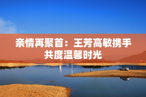 亲情再聚首：王芳高敏携手共度温馨时光