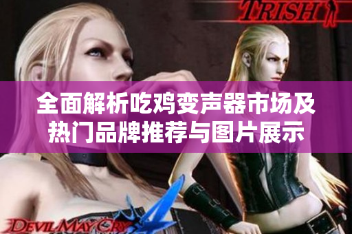 全面解析吃鸡变声器市场及热门品牌推荐与图片展示