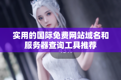 实用的国际免费网站域名和服务器查询工具推荐