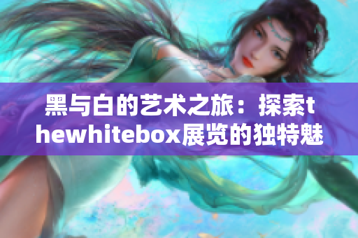 黑与白的艺术之旅：探索thewhitebox展览的独特魅力