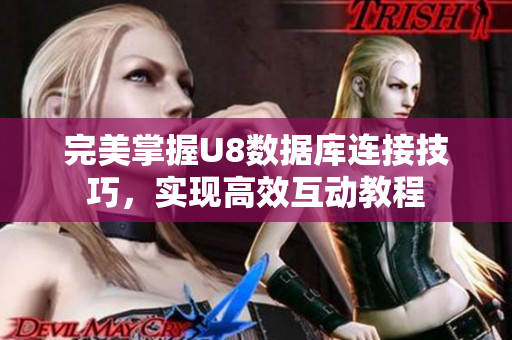 完美掌握U8数据库连接技巧，实现高效互动教程