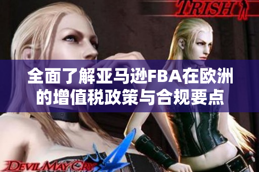 全面了解亚马逊FBA在欧洲的增值税政策与合规要点