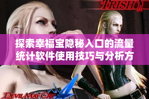 探索幸福宝隐秘入口的流量统计软件使用技巧与分析方法