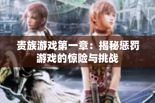 贵族游戏第一章：揭秘惩罚游戏的惊险与挑战
