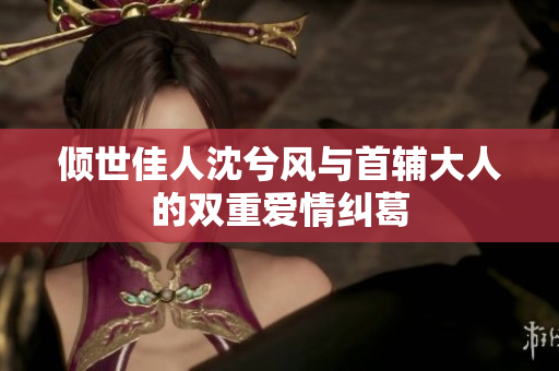 倾世佳人沈兮风与首辅大人的双重爱情纠葛