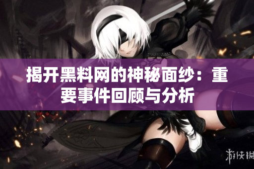 揭开黑料网的神秘面纱：重要事件回顾与分析