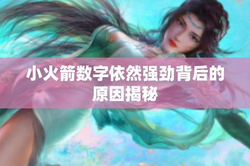 小火箭数字依然强劲背后的原因揭秘