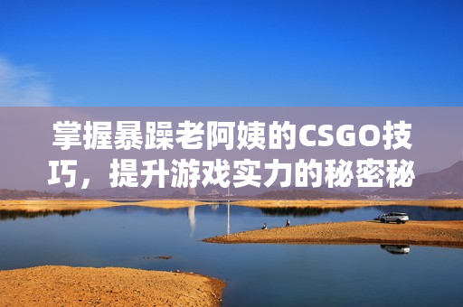掌握暴躁老阿姨的CSGO技巧，提升游戏实力的秘密秘籍