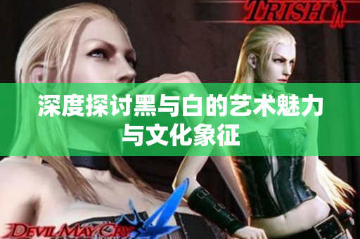 深度探讨黑与白的艺术魅力与文化象征