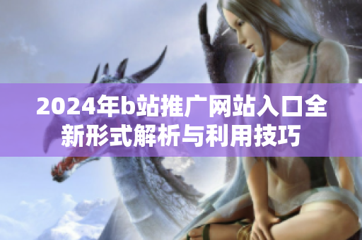 2024年b站推广网站入口全新形式解析与利用技巧