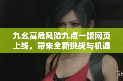 九幺高危风险九点一版网页上线，带来全新挑战与机遇