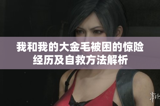 我和我的大金毛被困的惊险经历及自救方法解析