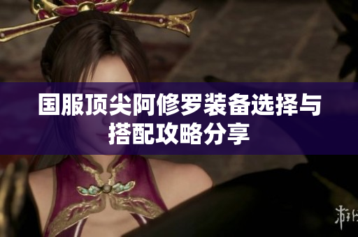 国服顶尖阿修罗装备选择与搭配攻略分享