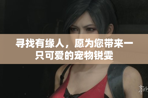 寻找有缘人，愿为您带来一只可爱的宠物锐雯