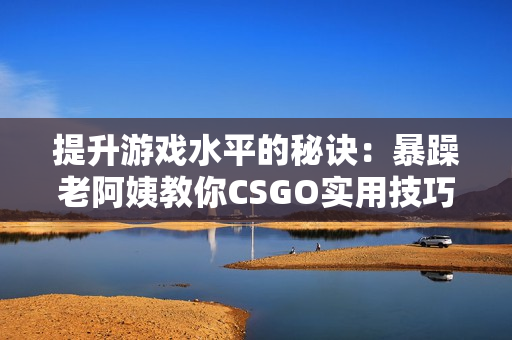 提升游戏水平的秘诀：暴躁老阿姨教你CSGO实用技巧