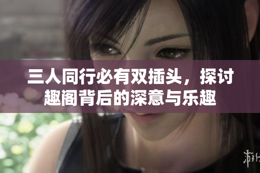 三人同行必有双插头，探讨趣阁背后的深意与乐趣