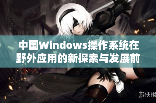 中国Windows操作系统在野外应用的新探索与发展前景