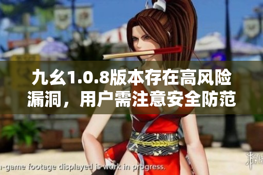 九幺1.0.8版本存在高风险漏洞，用户需注意安全防范措施