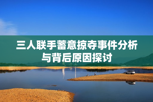 三人联手蓄意掠夺事件分析与背后原因探讨