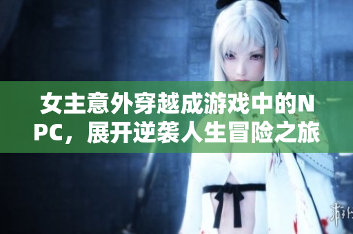 女主意外穿越成游戏中的NPC，展开逆袭人生冒险之旅