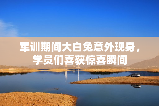 军训期间大白兔意外现身，学员们喜获惊喜瞬间