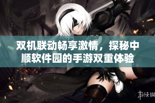 双机联动畅享激情，探秘中顺软件园的手游双重体验
