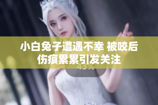 小白兔子遭遇不幸 被咬后伤痕累累引发关注