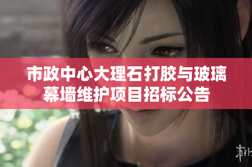 市政中心大理石打胶与玻璃幕墙维护项目招标公告