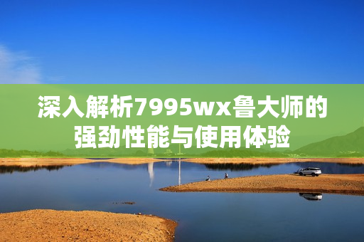 深入解析7995wx鲁大师的强劲性能与使用体验