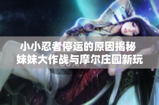 小小忍者停运的原因揭秘 妹妹大作战与摩尔庄园新玩法解析