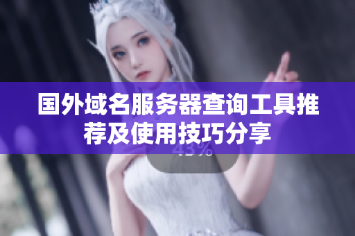 国外域名服务器查询工具推荐及使用技巧分享