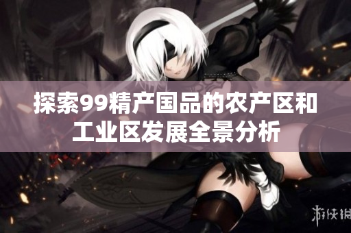 探索99精产国品的农产区和工业区发展全景分析