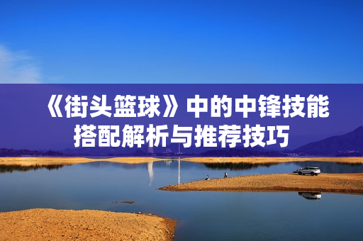 《街头篮球》中的中锋技能搭配解析与推荐技巧