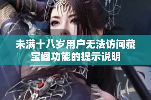 未满十八岁用户无法访问藏宝阁功能的提示说明