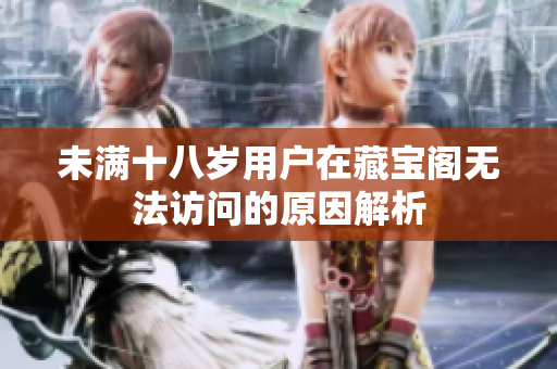 未满十八岁用户在藏宝阁无法访问的原因解析