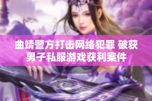 曲靖警方打击网络犯罪 破获男子私服游戏获利案件