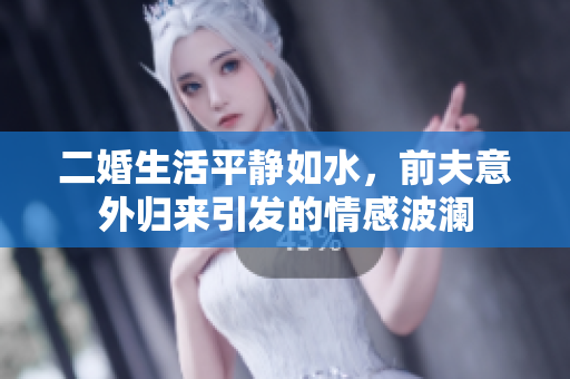 二婚生活平静如水，前夫意外归来引发的情感波澜