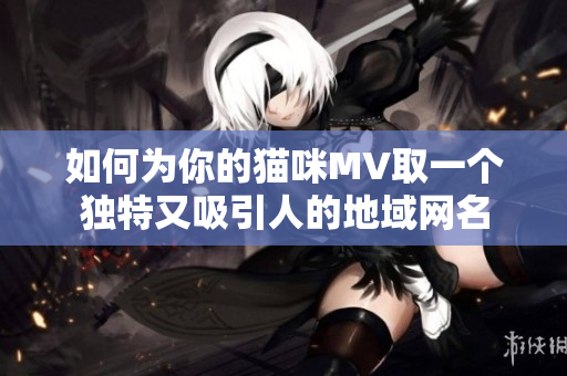 如何为你的猫咪MV取一个独特又吸引人的地域网名