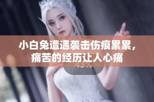 小白兔遭遇袭击伤痕累累，痛苦的经历让人心痛