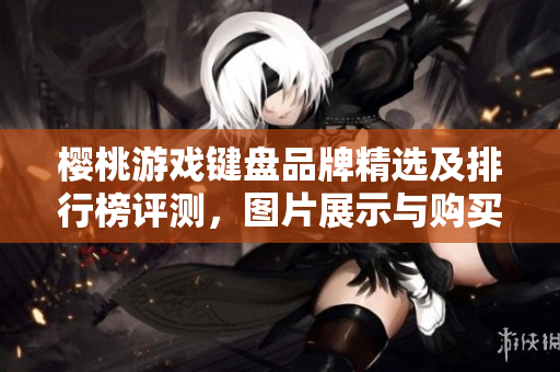 樱桃游戏键盘品牌精选及排行榜评测，图片展示与购买指南