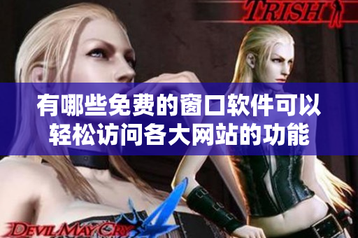 有哪些免费的窗口软件可以轻松访问各大网站的功能