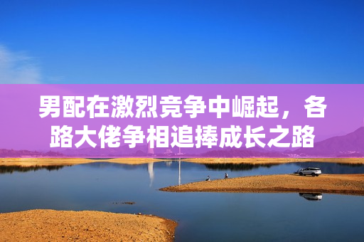 男配在激烈竞争中崛起，各路大佬争相追捧成长之路