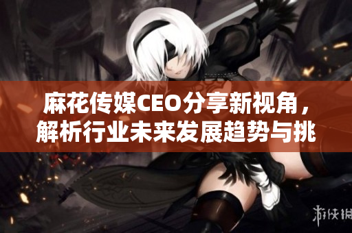 麻花传媒CEO分享新视角，解析行业未来发展趋势与挑战