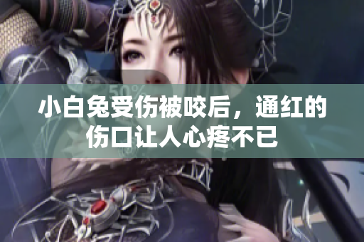 小白兔受伤被咬后，通红的伤口让人心疼不已