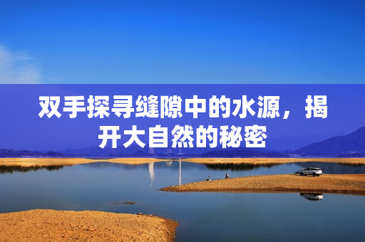 双手探寻缝隙中的水源，揭开大自然的秘密