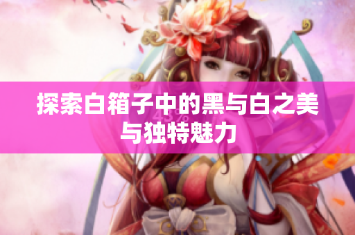 探索白箱子中的黑与白之美与独特魅力