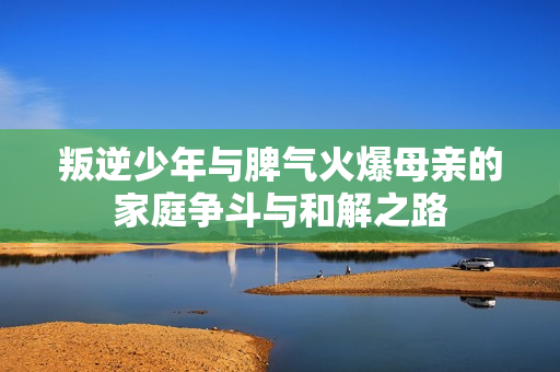 叛逆少年与脾气火爆母亲的家庭争斗与和解之路