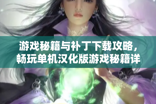 游戏秘籍与补丁下载攻略，畅玩单机汉化版游戏秘籍详解