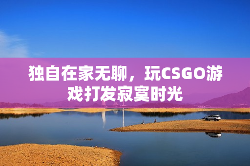 独自在家无聊，玩CSGO游戏打发寂寞时光